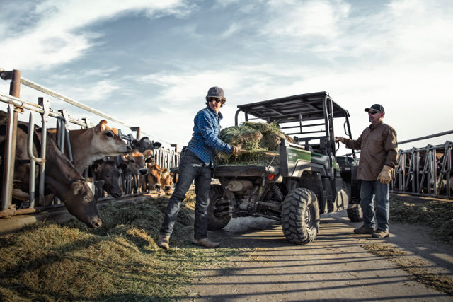 kawasaki mule pro dx lavado hr 05