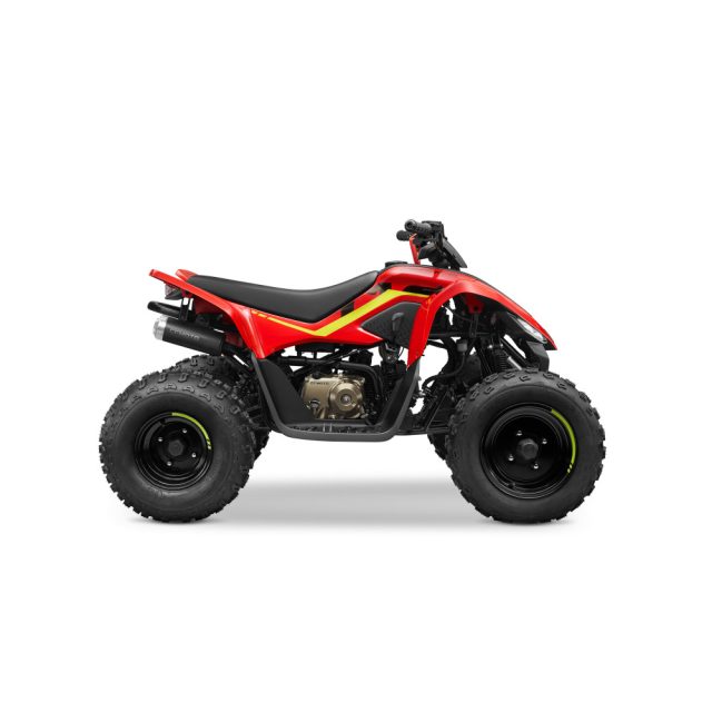 cfmoto atv copii gaz